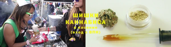PSILOCYBIN Волосово