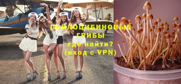 PSILOCYBIN Волосово