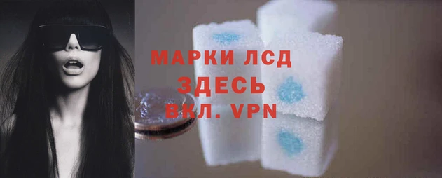 PSILOCYBIN Волосово