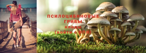 PSILOCYBIN Волосово